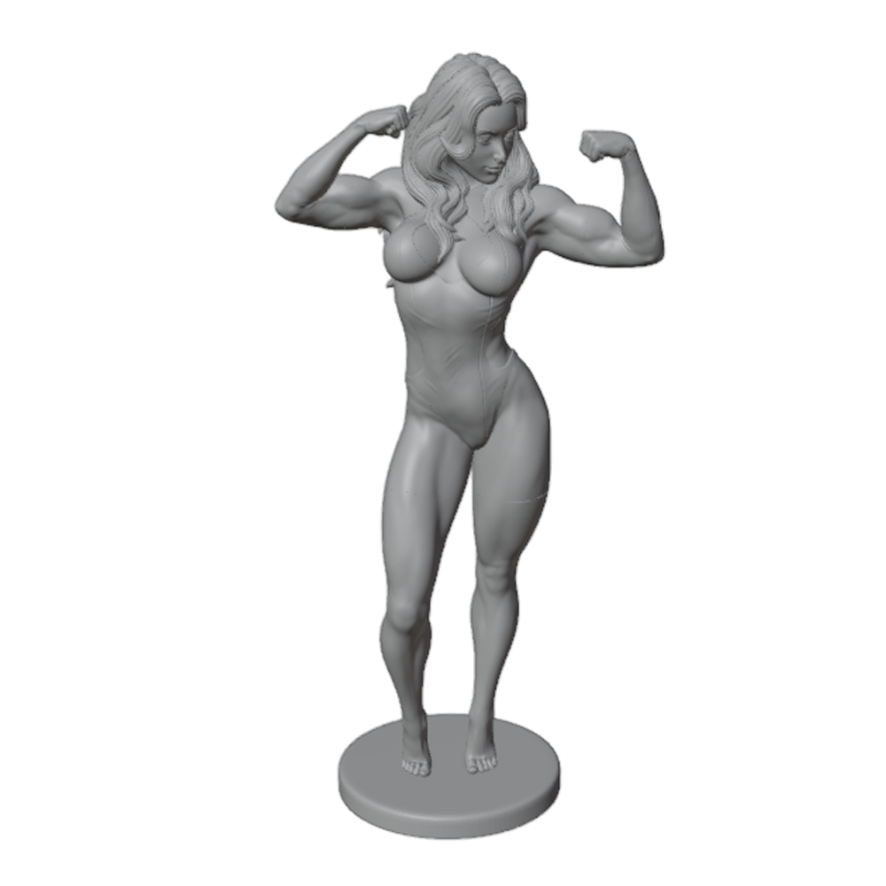 Statuetta in Resina 1/24 di Do - 3D Printing Instructor recensione e prezzo