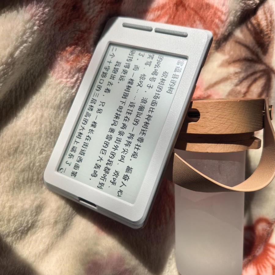 Per XTEINK X4 E-Ink Reader, Co - 3D Printing Ebook recensione e prezzo