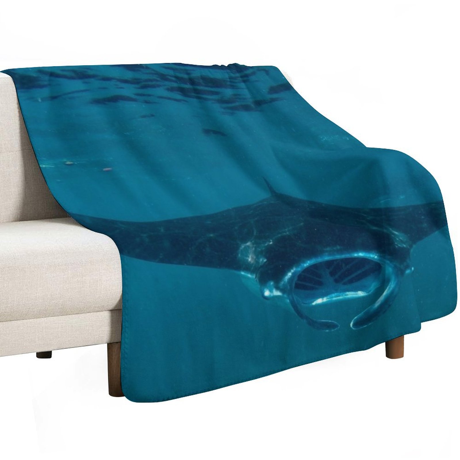 Curioso Manta Ray a Crystal Ba - 3D Printing Bali recensione e prezzo